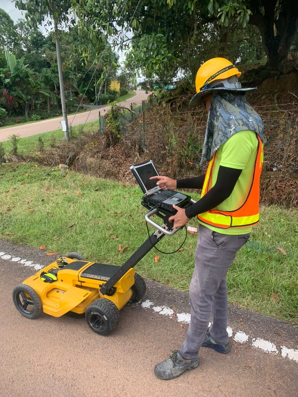 UMAP Activity - umap (57)